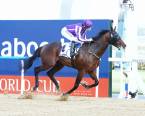 Mendelssohn Payout Odds 2018 Breeders Cup Classic 