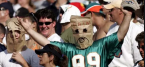 Another Dolphins Mismatch, Another Historic Spread Another Dolphins Mismatch, Another Historic Spread