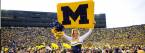 University of Michigan Bookies, Pay Per Head Services