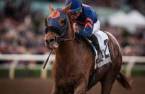 Mind Your Biscuits Odds to Win 2018 Breeders Cup Classic 