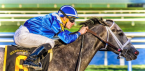 Mohaymen Position Draw Fourteen Odds – 2016 Kentucky Derby Mohaymen Position Draw Fourteen Odds – 2016 Kentucky Derby