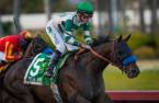 Mor Spirit Post Position Draw Seventeen Odds – 2016 Kentucky Derby Mor Spirit Post Position Draw Seventeen Odds – 2016 Kentucky Derby
