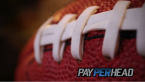 Where Can I Watch, Bet the Super Bowl Online From North Jersey Where Can I Watch, Bet the Super Bowl Online From Portland Maine