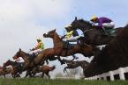 2017 National Hunt Betting Odds: Adonis Hurdle, Eider Handicap Chase, More 