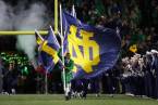 What is the Spread on the Cincinnati Bearcats vs. Notre Dame Irish Week 5 Game 