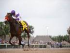 Why Bet Nyquist to Win This Year’s Kentucky Derby?