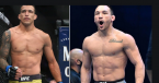 Where Can I Watch, Bet UFC 262 Oliveira vs. Chandler From San Antonio Where Can I Watch, Bet UFC 262 Oliveira vs. Chandler From San Antonio