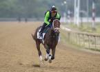 Overtook Payout Odds to Win the Belmont Stakes