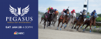 2018 Pegasus World Cup Betting Odds 2018 Pegasus World Cup Betting Odds