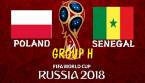 Poland vs. Senegal Betting Tips, Latest Odds - 19 June 