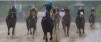 Early Odds to Win the 2017 Preakness: Always Dreaming at Even Early Odds to Win the 2017 Preakness: Always Dreaming at Even