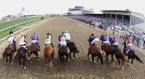 Customized Odds for the 2017 Preakness Stakes for Bookies