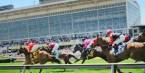 2017 Preakness Stakes Fast Facts Before You Bet: Always Dreaming Challengers