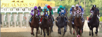 2017 Preakness Winning Picks 2017 Preakness Winning Picks