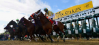 As Preakness Approaches, Strike at Pimlico Possibly Averted