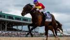 Quip Odds to Win the Preakness 2018 Quip Odds to Win the Preakness 2018