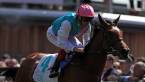 Odds to Win The Oaks 2017, Epsom Betting Odds on Rhododendron, More Odds to Win The Oaks 2017, Epsom Betting Odds on Rhododendron, More