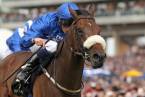 Queen Anne Stakes Betting Odds 2017 Queen Anne Stakes Betting Odds 2017