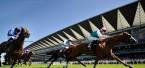 Royal Ascot Betting Saturday – Latest Odds and Predictions 
