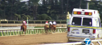 Santa Anita a Death Trap for Horses?  Why So Many Have Died There