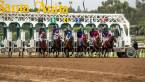 Where Can I Bet the 2020 Santa Anita Derby? Latest Odds