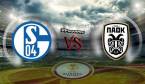 Schalke 04 v PAOK Saloniki Betting Preview, Tips, Latest Odds 22 February Schalke 04 v PAOK Saloniki Betting Preview, Tips, Latest Odds 22 February
