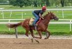 Sir Winston Payout Odds to Win Belmont Stakes 