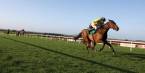 2017 Belmont Stakes, Met Mile, Ogden Phipps Stakes Betting Preview, Current Odds 2017 Belmont Stakes, Met Mile, Ogden Phipps Stakes Betting Preview, Current Odds