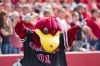 South Carolina (USC) SEC East Odds 2018 South Carolina (USC) SEC East Odds 2018