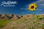 Where Can I Bet The 2022 Super Bowl 56 Online From South Dakota? Where Can I Bet The 2022 Super Bowl 56 Online From South Dakota?