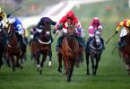 2017 Supreme Novices Hurdle Betting Odds - Cheltenham Festival