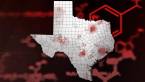 Need a Pay Per Head for the Presidential Election for Texas Need a Pay Per Head for the Presidential Election for Texas