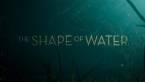 What Are the Odds of The Shape of Water Winning the Oscar for Best Picture?