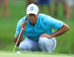 Tiger Woods Still the Most Popular Bets, Pays $1200