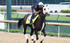 Tom’s Ready Position Draw Twelve Odds – 2016 Kentucky Derby Tom’s Ready Position Draw Twelve Odds – 2016 Kentucky Derby