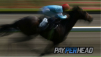 Triple Crown Betting: What Online Bookies Should Offer Triple Crown Betting: What Online Bookies Should Offer
