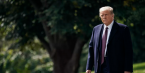 Trump Won't Concede Any Time Soon Say Oddsmakers Trump Won't Concede Any Time Soon Say Oddsmakers