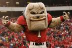 UGA Bulldogs Bookies Week 2 - What to Watch For UGA Bulldogs Bookies Week 2 - What to Watch For