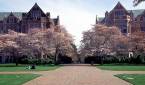 University of Washington Bookies, Pay Per Head Services 