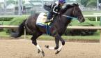 What Will the Payout Be if Untrapped Wins the 2017 Kentucky Derby? What Will the Payout Be if Untrapped Wins the 2017 Kentucky Derby?