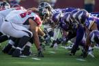 Vikings vs. Falcons Betting Odds, NFC North and South Odds – Week 13