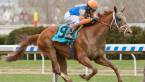 Vino Rosso Odds to Win the 2018 Kentucky Derby - 16-1 Overnight Vino Rosso Odds to Win the 2018 Kentucky Derby - 16-1 Overnight