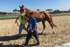 Vino Rosso Post Position Chances of Winning the Kentucky Derby 