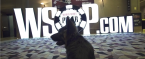 WSOP Main Event Recaps for Thursday: Phil Hellmuth, Chris Ferguson Eliminated WSOP Main Event Recaps for Thursday: Phil Hellmuth, Chris Ferguson Eliminated