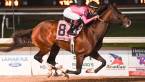 War of Will Payout Odds to Win Belmont Stakes 