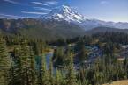 Will Washington State Offer Sports Betting Online? Will Washington State Offer Sports Betting Online?