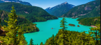 Where Can I Bet NFL Games Online From the State of Washington State? Where Can I Bet NFL Games Online From the State of Washington State?