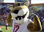 Spread on the Arizona vs. Washington State Game - Week 12 Spread on the Arizona vs. Washington State Game - Week 12