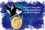 Bitcoin Falls and the Willy Bot is Real Bitcoin Falls and the Willy Bot is Real