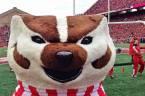 Wisconsin Badgers 2018 College Football Win Loss Odds Prediction 
